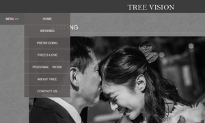 婚纱摄影公司网站建设案例：tree vision